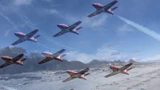 Snowbirds Aerobatic Team